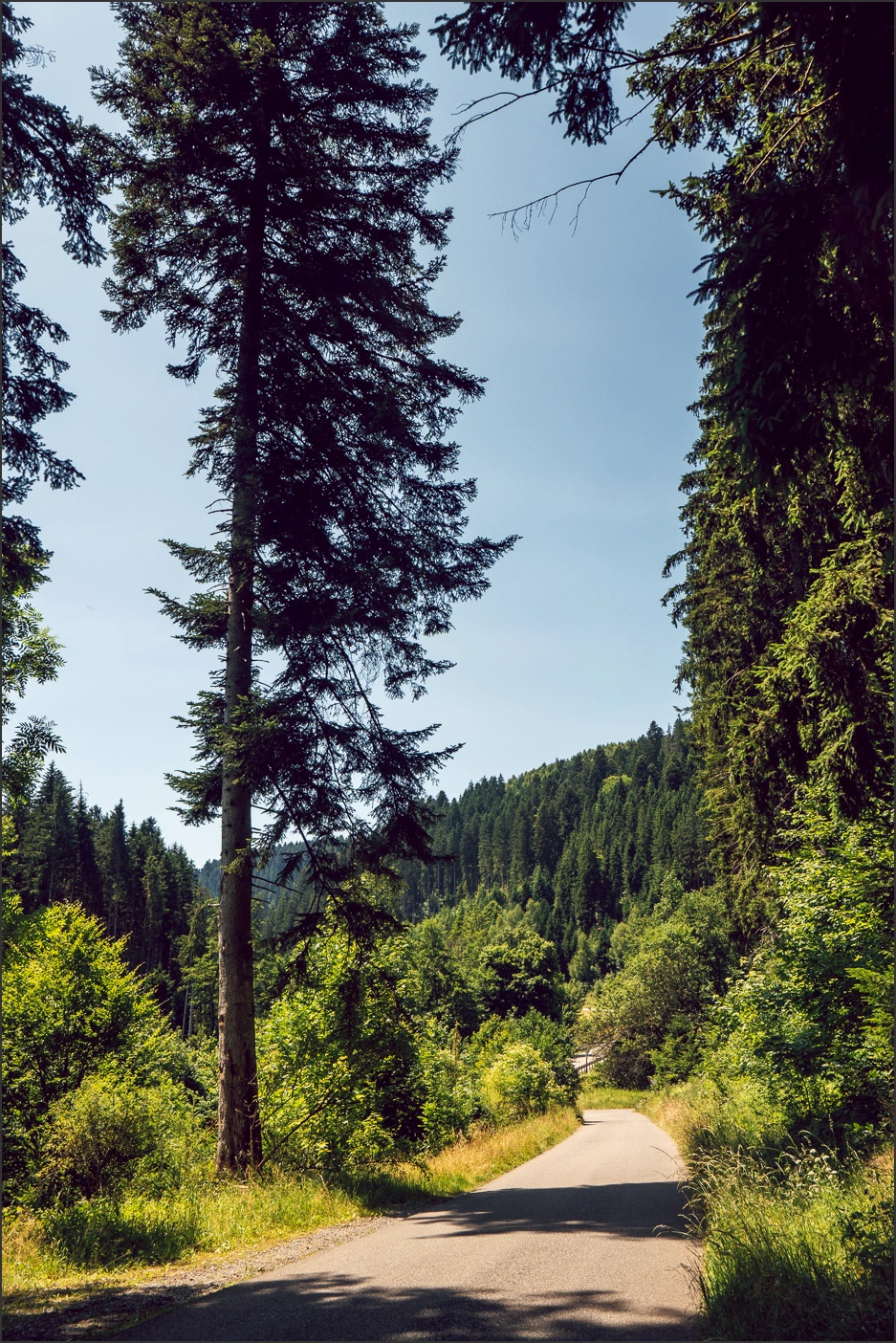 250622-094 – blog