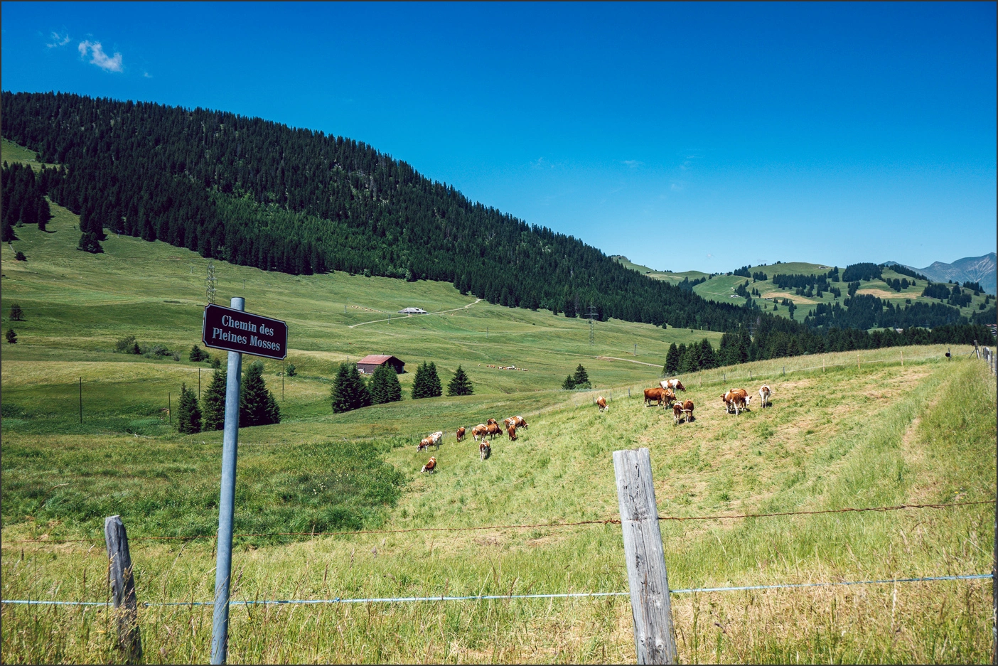 250624-179 – blog