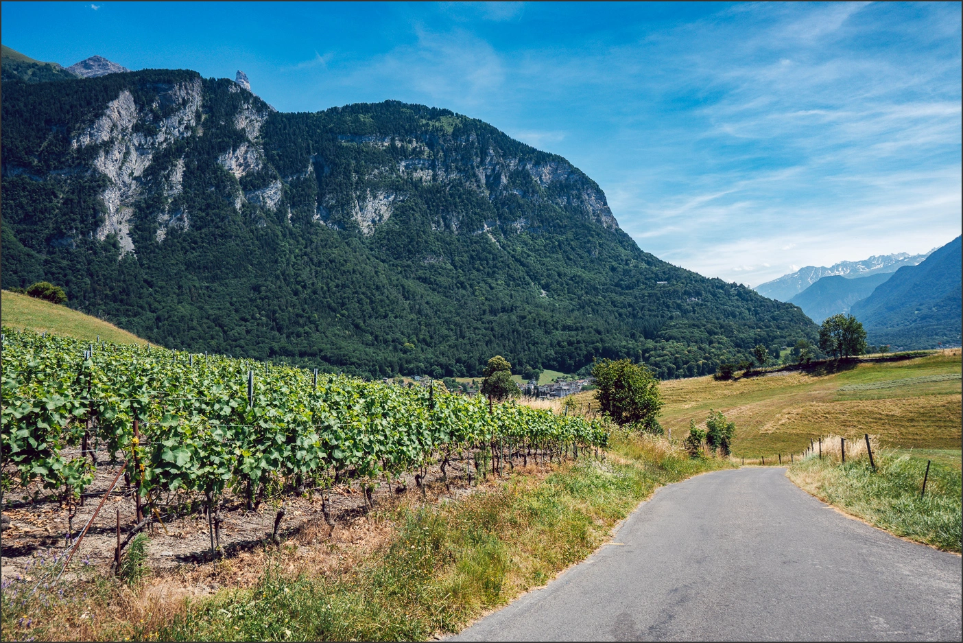 250624-203 – blog