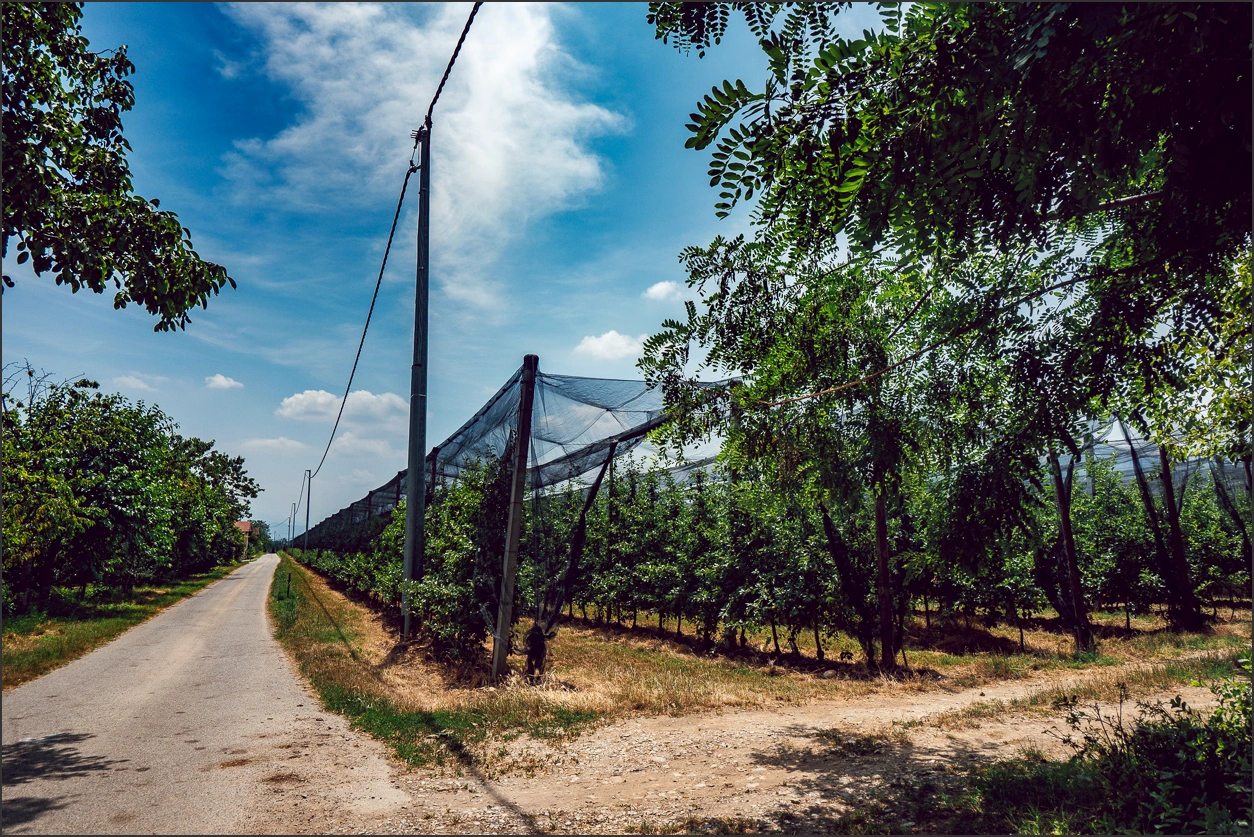 250627-105 – blog