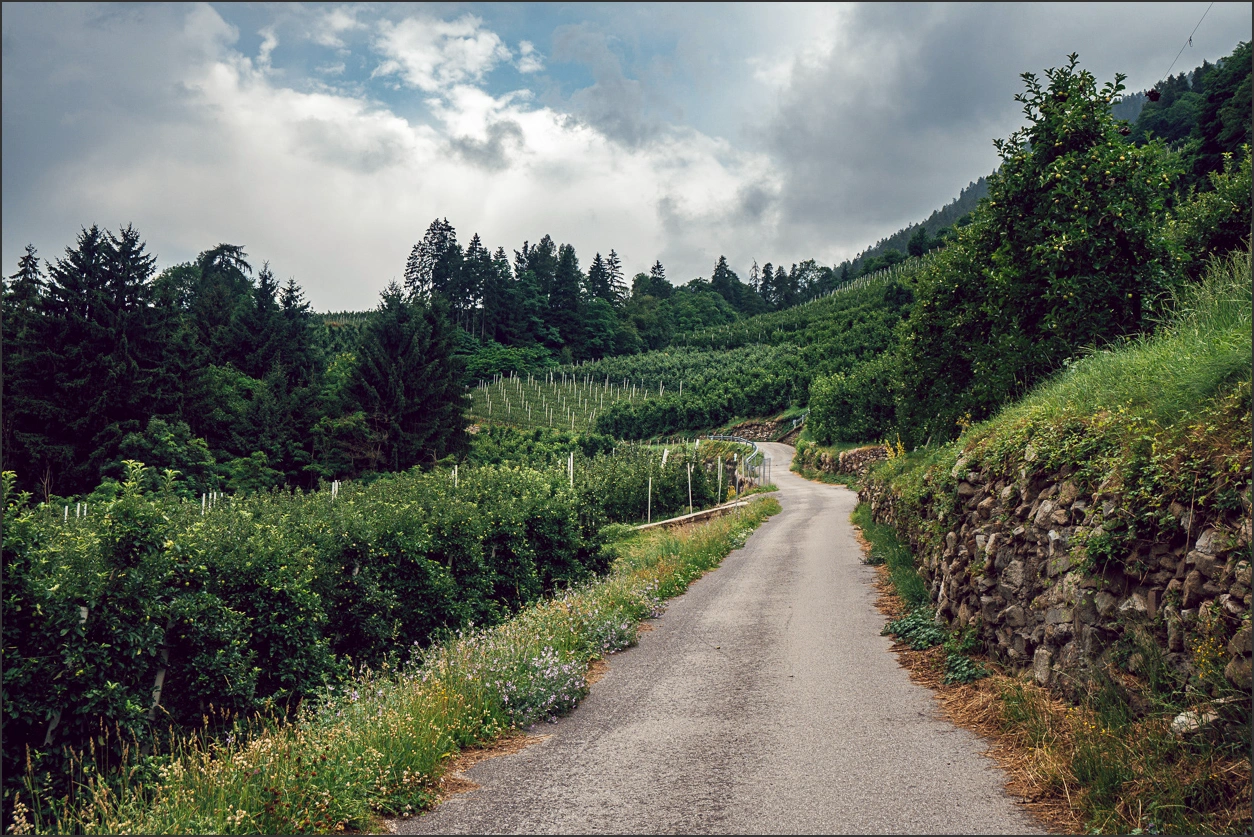 250706 030 – blog