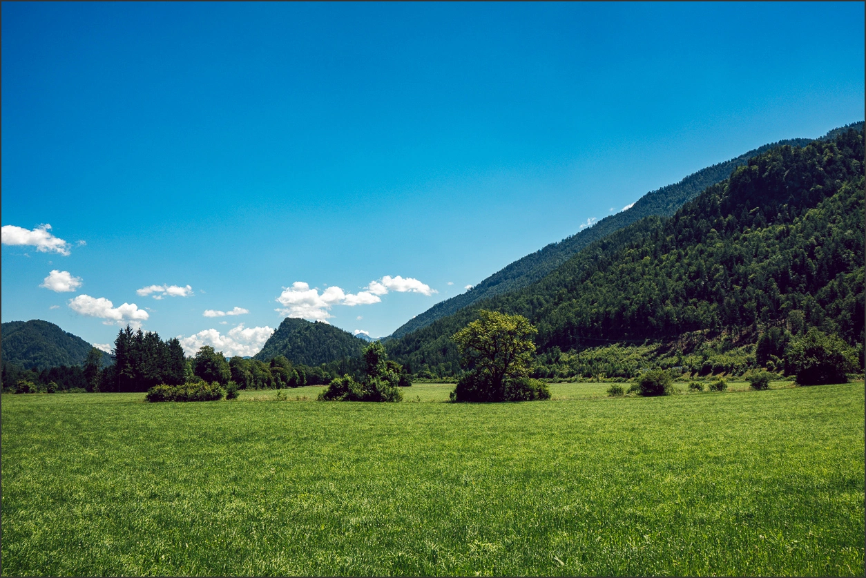 260619 102 – blog