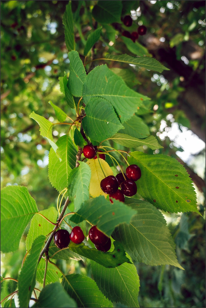 260620 145 – blog