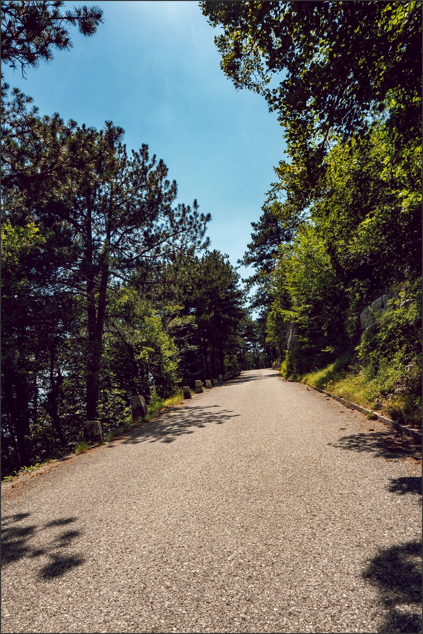 260622 227 – blog