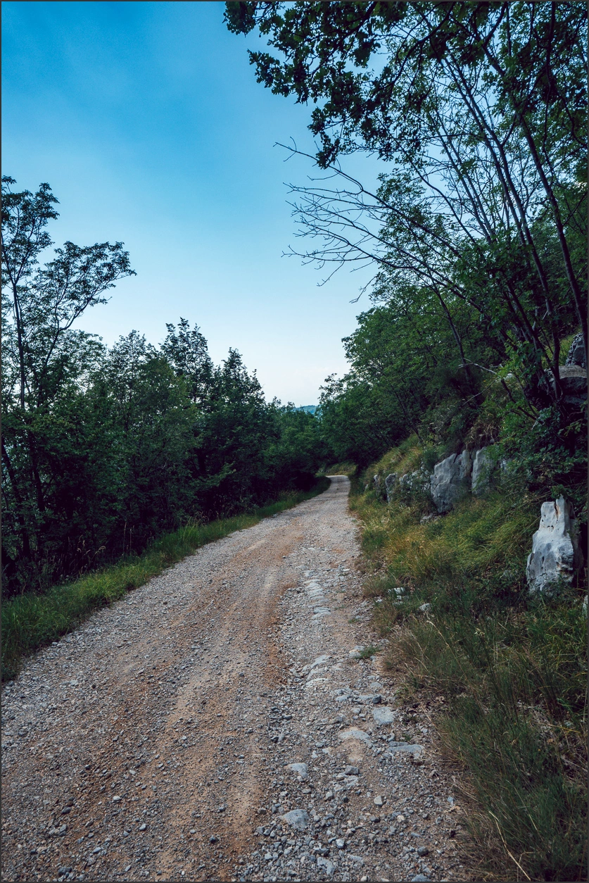 260622 231 – blog