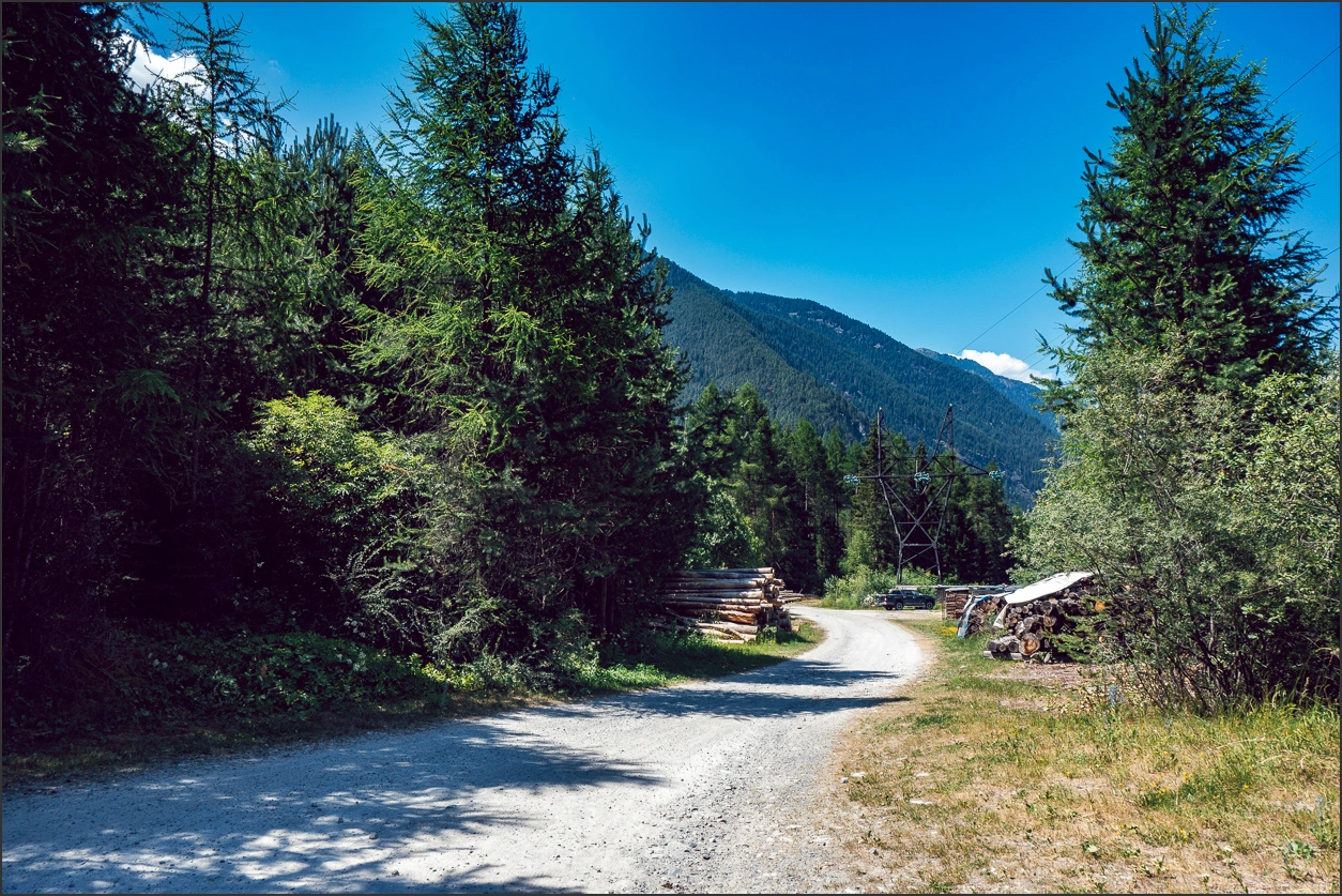260625 364 – blog