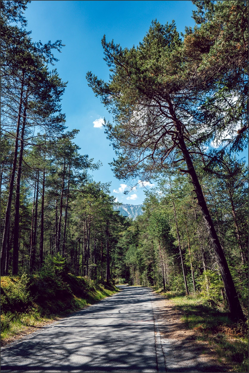 260625 369 – blog