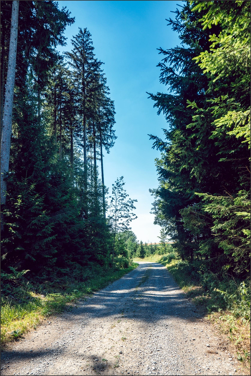 260626 389 – blog